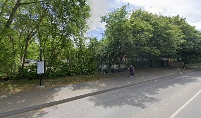 Anne Masson - Naturopathe / Iridologue - Rennes, Praticien de Médecine Alternative à Cesson-Sévigné