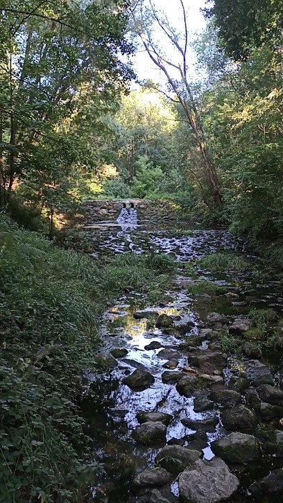 Carole BEAUCHAMP - Sophrologue Et Coach PNL : Stress - Anxiété - Sommeil - Hypersensibilité - Préparation Mentale, Praticien de Médecine Alternative à Maurepas