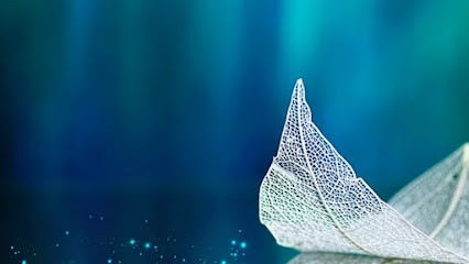 AudeLaDesSens- Reflexologue Cruseilles, Réflexologue à Cruseilles