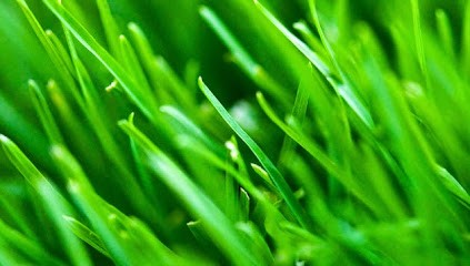 Magnétiseur Caen Arnaud Bonnesoeur, Praticien de Médecine Alternative à Caen