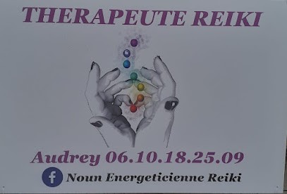 Noun Énergéticienne Reiki, Praticien de Médecine Alternative à Fuveau
