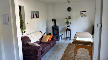 Naturopathe - HOLISANA La Santé Au Naturel, Praticien de Médecine Alternative à Pournoy-la-Grasse