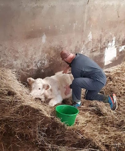 Soins énergétique de l'habitat Géobiologue et acupression Josian Pomathios-Payneau, Praticien de Médecine Alternative à Saint-Denis-lès-Bourg