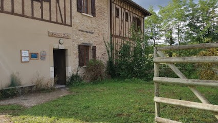 Estelle van Hille Étiopathe - Cabinet d'étiopathie de Montbrun-Bocage, Praticien de Médecine Alternative à Montbrun-Bocage