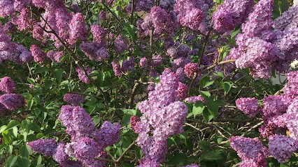 Meddoun Nadia, Praticien de Médecine Alternative à Verneuil-sur-Seine