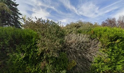 Poupat Christine, Praticien de Médecine Alternative à Gien