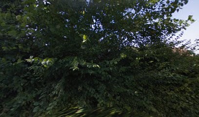 Sophrologie Caycédienne En Flandres, Praticien de Médecine Alternative à La Chapelle-d'Armentières