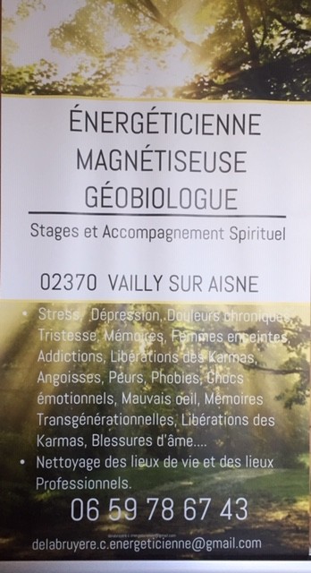 MAGNÉTISEUR ÉNERGÉTICIENNE REBOUTEUX GEOBIOLOGUE CLAIRVOYANTE ACCOMPAGNEMENT EN CHANGEMENTS DE VIE., Praticien de Médecine Alternative à Vailly-sur-Aisne