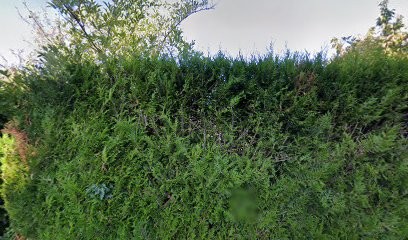 Naturopathie Jura - Hervé Siredey, Praticien de Médecine Alternative à Lons-le-Saunier