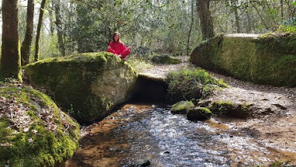 Culture et senS, Praticien de Médecine Alternative à Colpo