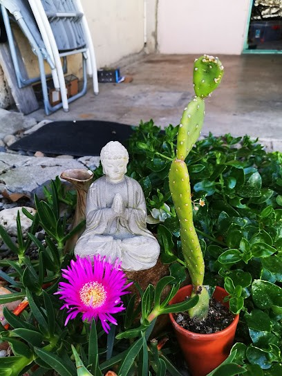 Jean François Arqué, Magnétiseur, Soin énergétique, Clairvoyant, Praticien de Médecine Alternative à Séméac