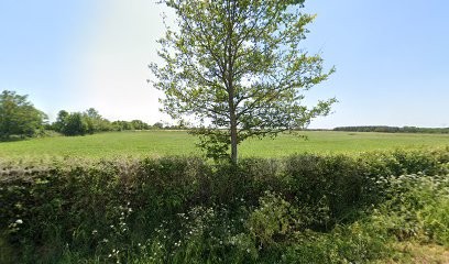 EquilibréA, Réflexologue à Bouvron