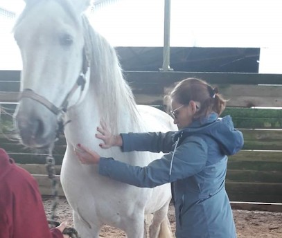 MovereauM, Praticien de Médecine Alternative à Villevieille