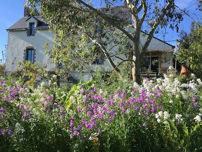 Gaëlle Le Brenn Naturopathe Psycho-Energéticienne, Praticien de Médecine Alternative à Fégréac