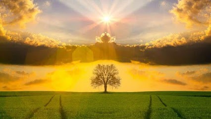 Frederique HAYES MEIGNENT, Praticien de Médecine Alternative à Gometz-le-Châtel