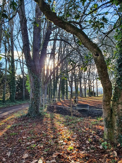 Naturopathe - Alison Drancourt, Praticien de Médecine Alternative à Saint-Lizier
