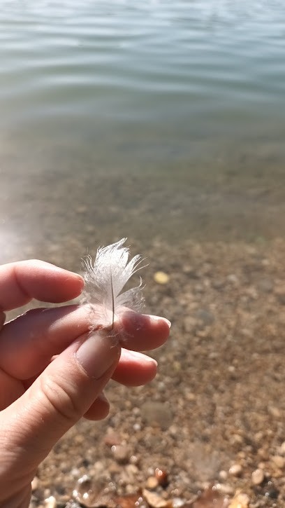 L' Envol Ancré Ingrid Leboulanger Magnétiseuse Réflexologue, Réflexologue à Miribel