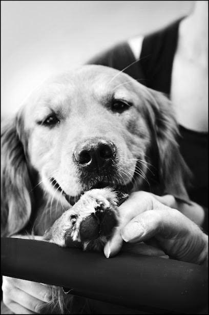 Des Museaux pour des Maux, Praticien de Médecine Alternative à Erdre-en-Anjou