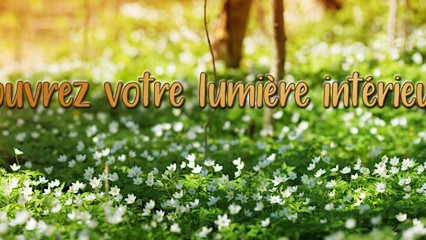 ETHICA Sana, Hypnothérapeute à Descartes