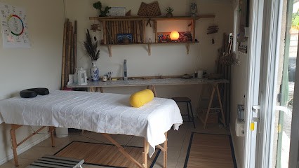 Magnétiseur Kinésiologue, Praticien de Médecine Alternative à Cadaujac