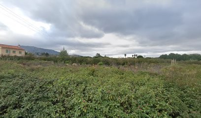 Massage Sportif, Réflexologue à Bormes-les-Mimosas
