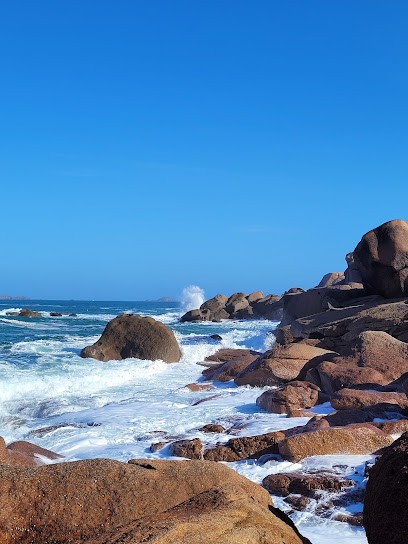 Christine Gautier, Praticien de Médecine Alternative à Trégastel