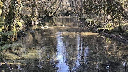 Cyril Poncet Naturawen, Praticien de Médecine Alternative à Lons-le-Saunier