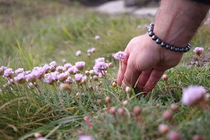 Hervé Cagnec NATUROPATHE -, Praticien de Médecine Alternative à Lorient