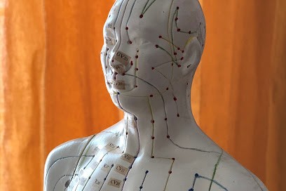 Coralie HENOCQ, Praticien de Médecine Alternative à L'Isle-Adam