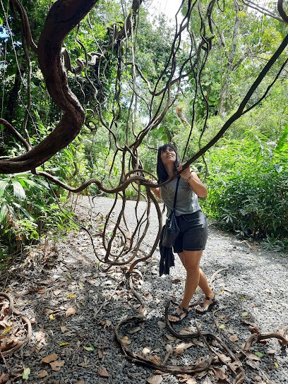 Nadine PIQUEMAL Naturopathe, Praticien de Médecine Alternative au Barcarès