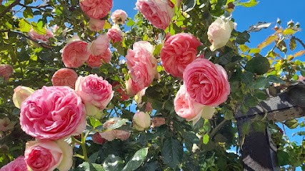 Marc Sourice Magnétiseur Conjureur Géobiologue, Praticien de Médecine Alternative à Oudon