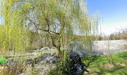 Charline Hubert - Réflexologie-Fleurs de Bach, Réflexologue à Sainte-Croix-Volvestre