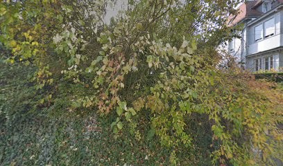 Cyrille ROTA GRAZIOSI, Praticien de Médecine Alternative à Mulhouse