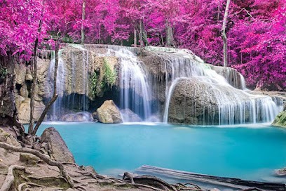 L'Œil d'Iris : cabinet mieux-être - Sophrologie caycédienne, libération émotionnelle, coaching, massage rebouteux, magnétisme, Praticien de Médecine Alternative à Saint-Paul-Mont-Penit