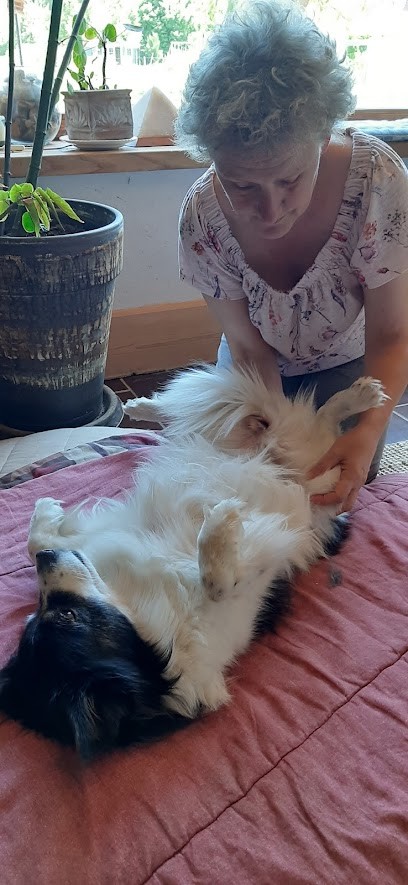 Pierron Perrin Agnès, naturopathe et énergeticienne, Praticien de Médecine Alternative à Laveline-devant-Bruyères