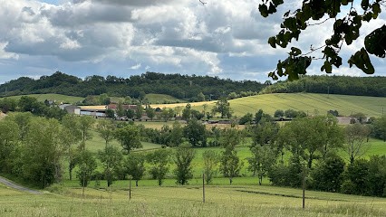 Myriam Bauzil - Naturopathe Albi, Praticien de Médecine Alternative à Puygouzon