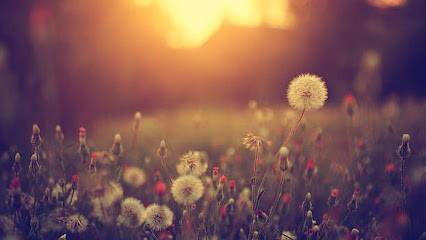 Katia Gomez - Médium - Thérapeute Holistique - Énergéticienne, Praticien de Médecine Alternative à Taverny