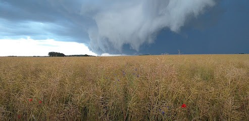 Pierre Rapin Energeticien Magnetiseur, Praticien de Médecine Alternative à Condé-sur-Vesgre