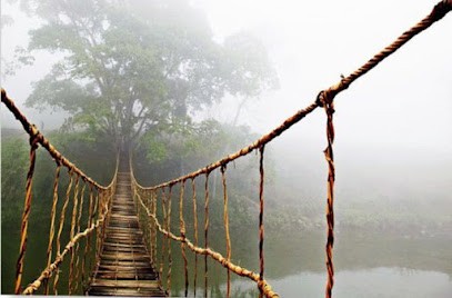 RÉFLEXOLOGIE PLANTAIRE AMELIE SANCHEZ BALMA, Réflexologue à Balma