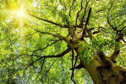 Steve François Coach et Hypnothérapeute Humaniste, Hypnothérapeute à Saint-Dizier