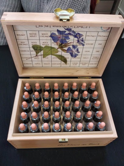 Christel V Thème Astro-floral Et Fleurs De Bach / Reiki Et Massages Ayurvédiques, Praticien de Médecine Alternative à Condrieu