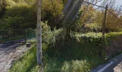 Zohra Fargeot-Beneix, Praticien de Médecine Alternative à Clans