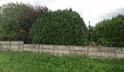 Bernard GARDAN, Hypnothérapeute à Douzy