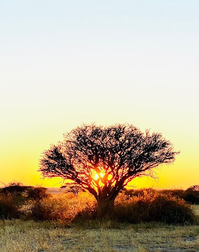 Hypnothérapeute Sophia Noël-Hocquet, Hypnothérapeute à Saint-Cyr-sur-Loire