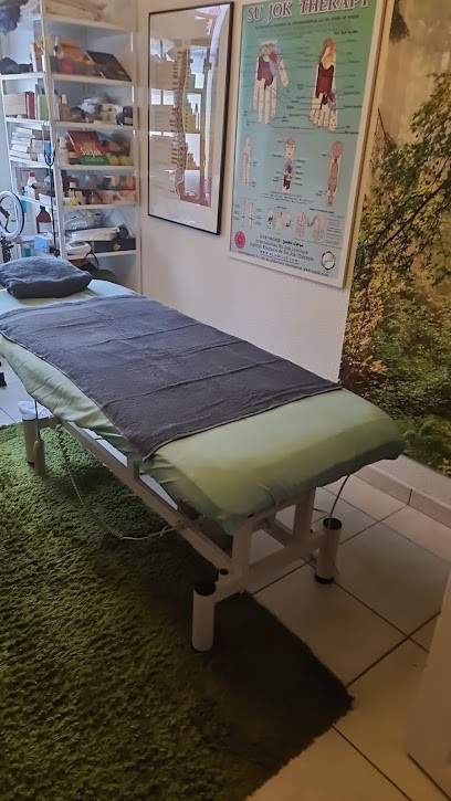 Sujok Alsace, Praticien de Médecine Alternative à Mulhouse