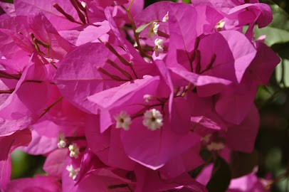 Rappaport Claude, Hypnothérapeute à Paris 12