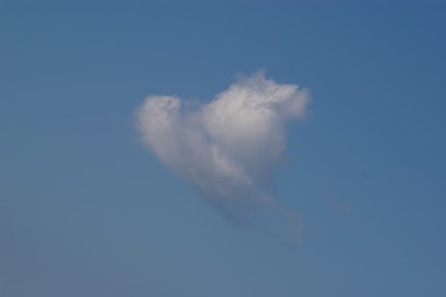 Naturopathe magnétiseur Romain Gastaldello, Praticien de Médecine Alternative à Étain