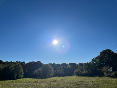 Corinne Dijoux, Praticien de Médecine Alternative à Saint-Gervais-la-Forêt