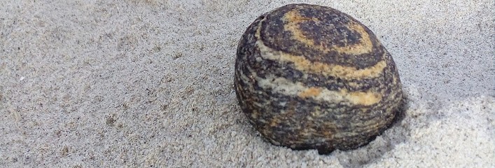 Laurence Legendre, Praticien de Médecine Alternative à Guérande