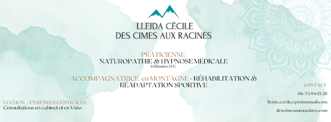 Cécile Lleida - Praticienne En Hypnose Médicale Et Naturopathie, Service D'hypnothérapie à Montauban-de-Luchon